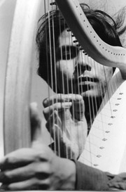 ケルティック・ハープ  Celtic Harp